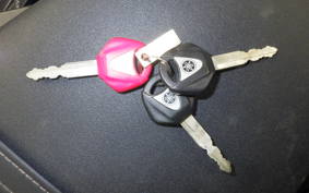 YAMAHA MT-09 2015 RN34J