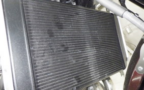 KAWASAKI Z900RS 2025 ZR900K