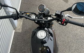 HARLEY X500 2024 W5B