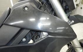 KAWASAKI KLX250D TRACKER X 2022 LX250V