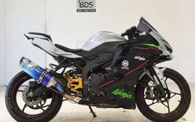 KAWASAKI ZX-4RR 2024