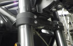 TRIUMPH STREET TRIPLE RS 2019