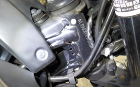 SUZUKI GSX250R
