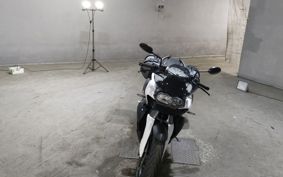 BMW K1300R 2009 0518
