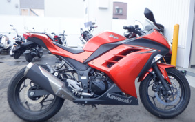 KAWASAKI NINJA 250 EX250L
