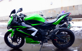 KAWASAKI Ninja 250SL BX250A
