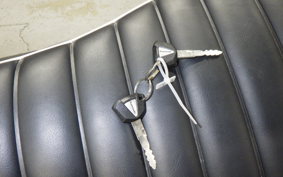 KAWASAKI W800 CAFE 2019 EJ800B