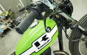 KAWASAKI 250TR 2009 BJ250F