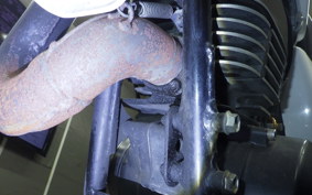 SUZUKI TS185 2011
