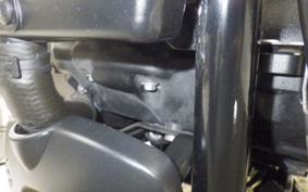 TRIUMPH SCRAMBLER 900 2023