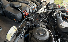 HARLEY FXDR114 2019 YVK
