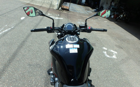 KAWASAKI Z900 2019 ZR900B