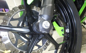 KAWASAKI NINJA 250 ABS 2022 EX250L