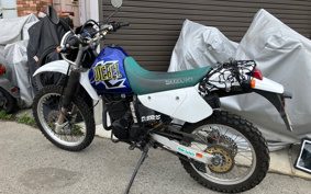 SUZUKI DJEBEL250XC SJ45A