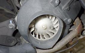 HONDA TODAY 2020 AF61