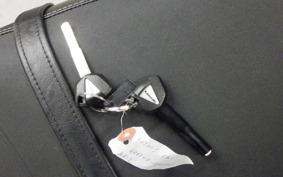 KAWASAKI Z650 RS 2024 ER650R