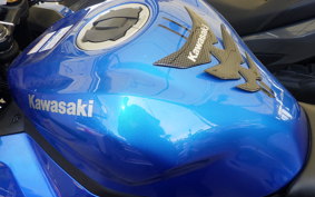 KAWASAKI ZX-4R SE 2023 ZX400P