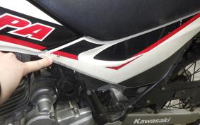 KAWASAKI SUPER SHERPA 2020 KL250G