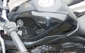 YAMAHA MT-25 RG10J