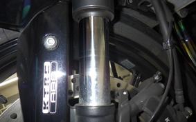 KAWASAKI NINJA 1000 SX 2021 ZXT02K