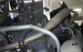 HONDA C125 SUPER CUB 2025