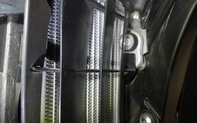 YAMAHA WR250X 2014 DG15J