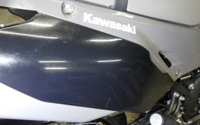 KAWASAKI KLX230SM 2006 LX232A