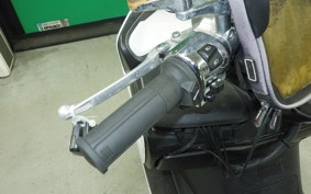 SUZUKI SKYWAVE250SS-2 TRIKE 2021 CJ46A