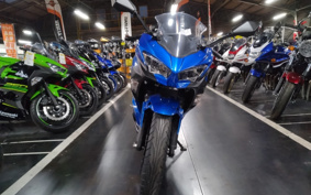 KAWASAKI NINJA 250 EX250P