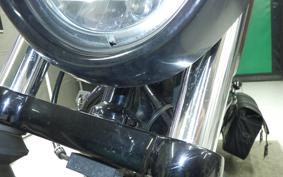 HARLEY XL1200NS 2019