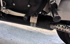 BUELL XB9SX LIGHTNING 2006 KX02