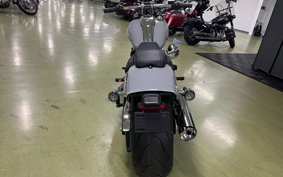 HARLEY FXBR 2025 YEZ