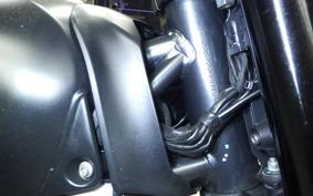DUCATI SCRAMBLER ICON 2021