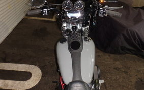 HARLEY HARLEY FXDL1580 2015 GN4