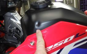 HONDA CRF250L 2001 MD47