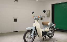 HONDA LITTLE CUB E 2011 AA01