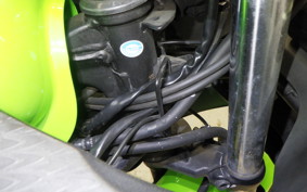 KAWASAKI NINJA 250 ABS 2021 EX250L