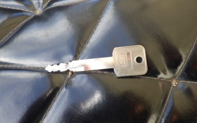 OTHER UNREGISTERED MODEL by BDS TRIKE250