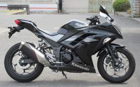 KAWASAKI NINJA 250 EX250L