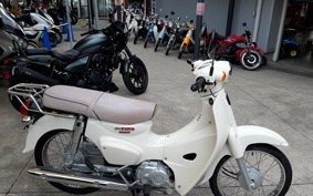 HONDA SUPER CUB110 JA44