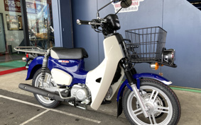 HONDA C110 SUPER CUB PRO 2024 JA61
