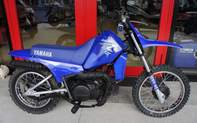 YAMAHA PW80 21W