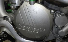 KAWASAKI KX250 F KX250Z