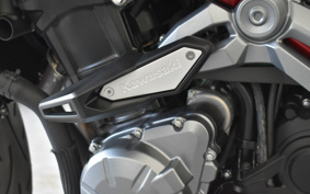 KAWASAKI Z900 2018 ZR900B