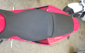 OTHER +ﾒｶﾞﾘ250R