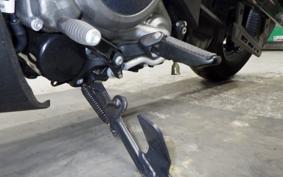 HARLEY RH975 2024
