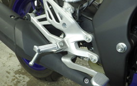 YAMAHA YZF-R15 2021 RG86J