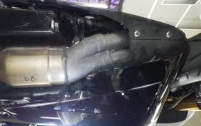 TRIUMPH DAYTONA 675 R 2015