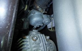 HONDA LITTLE CUB 2016 AA01