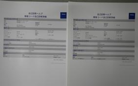 SUZUKI GSX-R125 DL33B